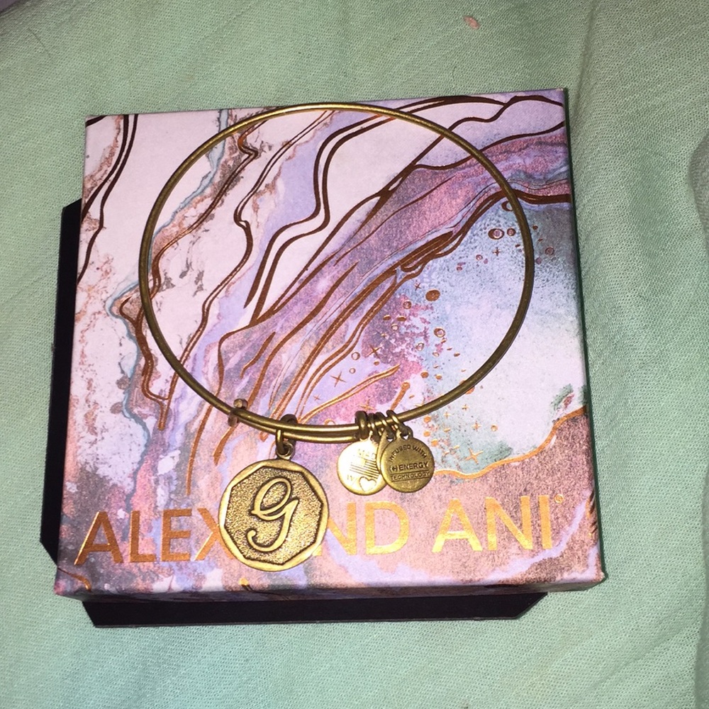 Alex and Ani charm bracelet